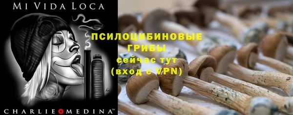 стафф Алексеевка