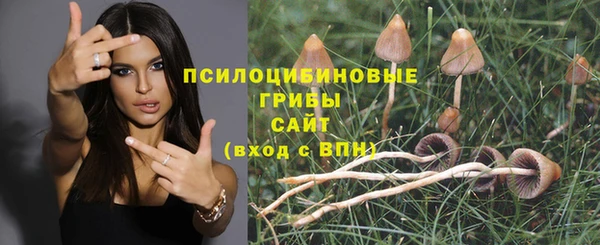 марки nbome Алзамай