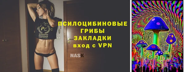 стафф Алексеевка