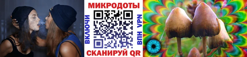 Псилоцибиновые грибы GOLDEN TEACHER  hydra ТОР  Данков 
